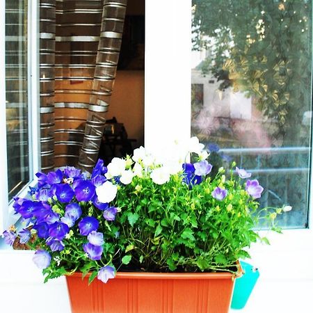 برنو Apartment 5 Min By Walk To The Center المظهر الخارجي الصورة