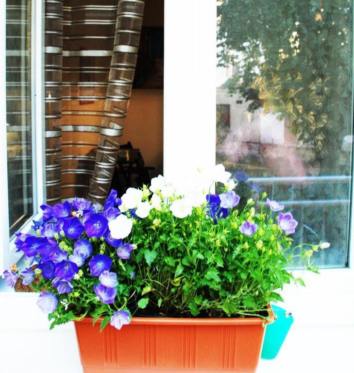 برنو Apartment 5 Min By Walk To The Center المظهر الخارجي الصورة